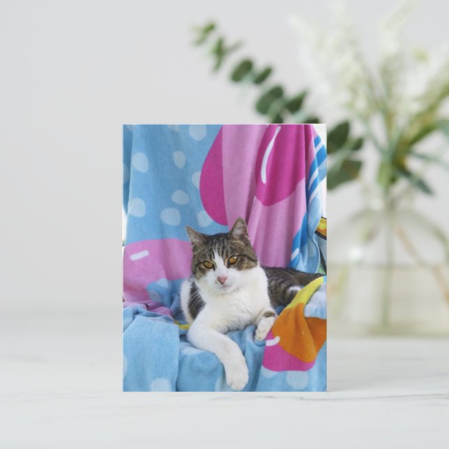 Beach Blanket Cutie Postcard (Standing Front)