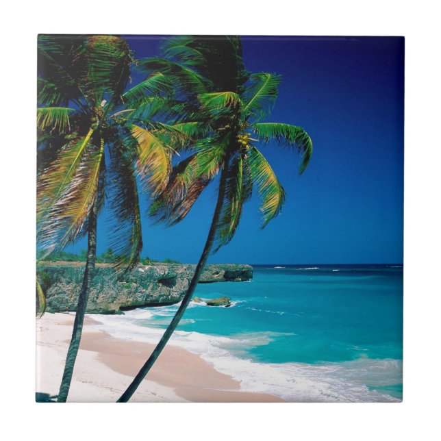 Beach Bottom Bay Barbados Tile (Front)