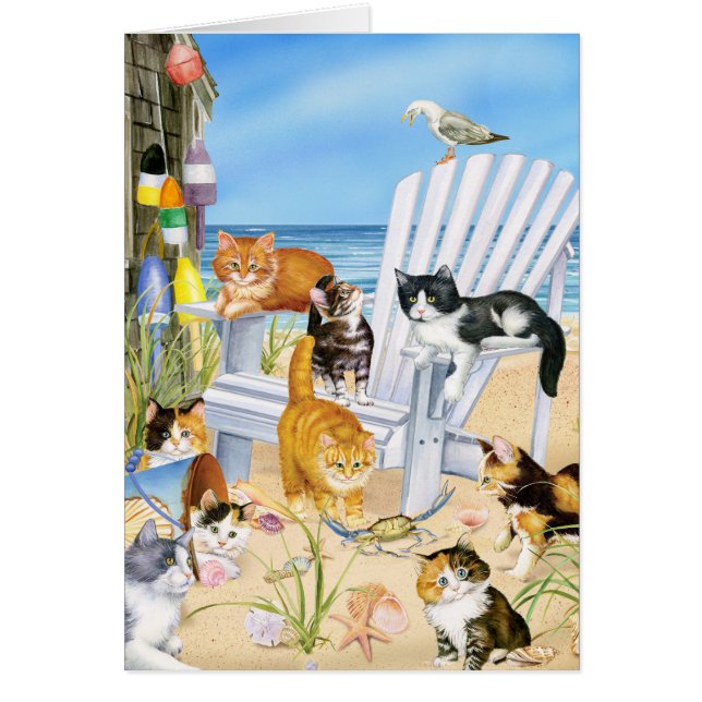 Beach Bum Kitties! (Front)