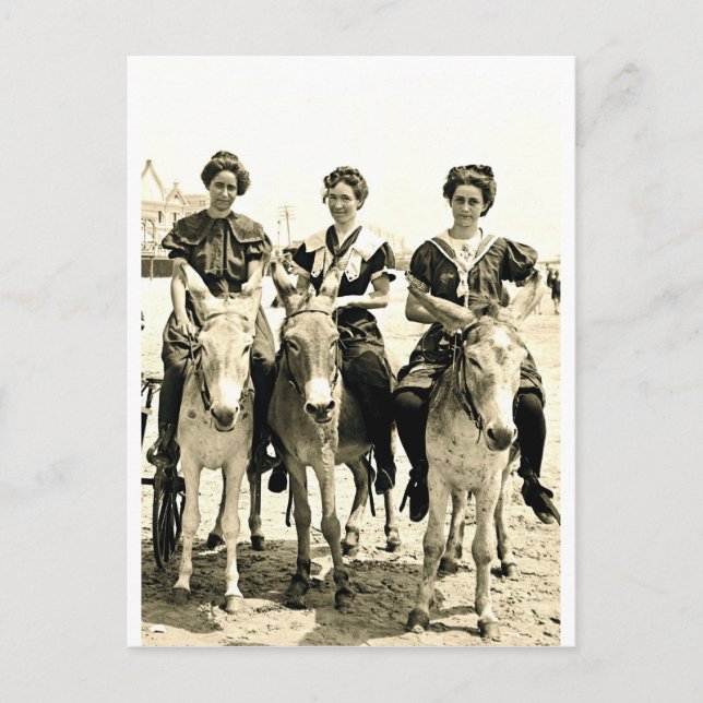 Beach Burros Postcard (Front)