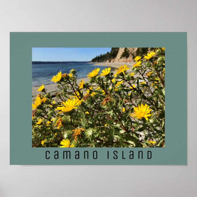 Beach Camano Island Washington Photograph Poster (Front)