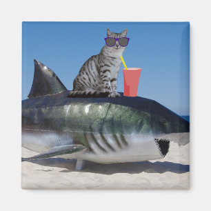 BEACH CAT ON SHARK FUNNY magnets