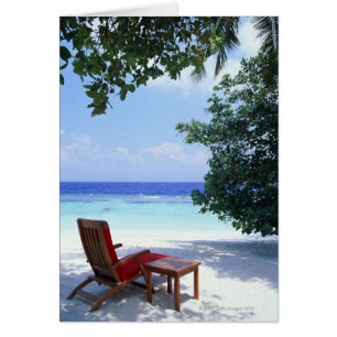 Beach Chair