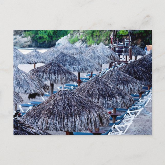 Beach Chairs And Shelters Postcard (Front)