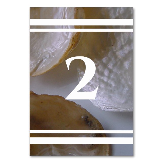Beach Clams Wedding Table Number (Front)