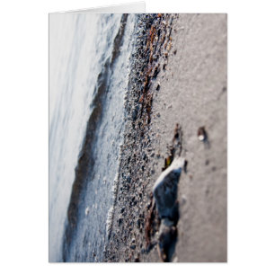 Beach close up