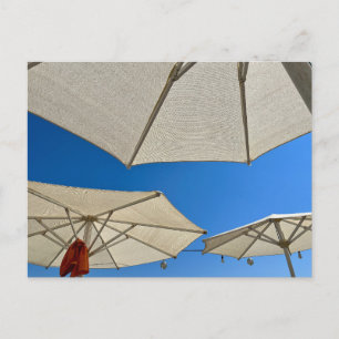 Beach Club Parasols Holiday Postcard