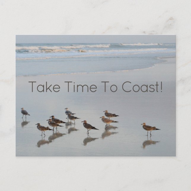 Beach Coast Quote Birds Photography Typography Postcard (Front)