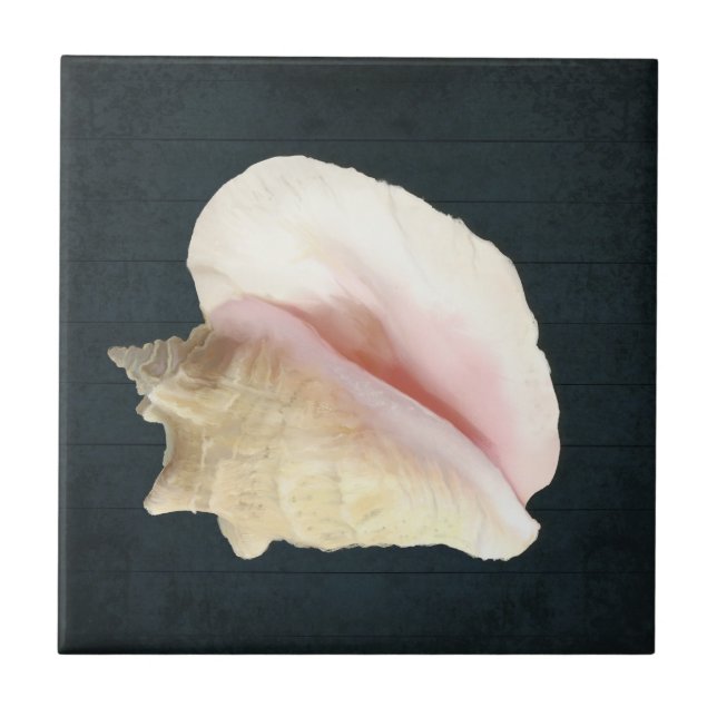 Beach Conch Seashell Coastal Shell Navy Blue Wood Tile (Front)