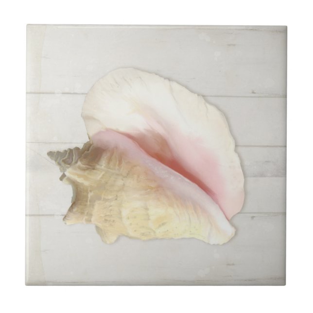 Beach Conch Seashell Coastal Shell White Wood Tile (Front)
