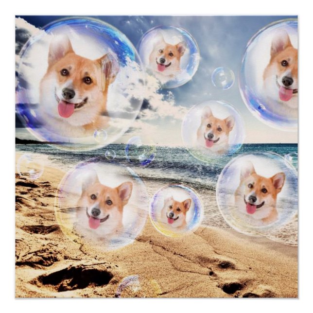 Beach Corgis Poster (Front)