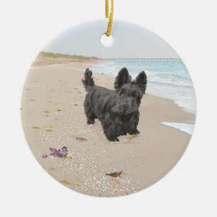 Beach Day Ceramic Ornament