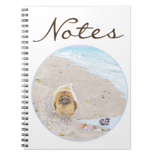 Beach Day Notebook