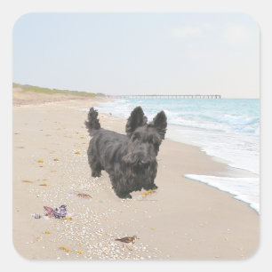 Beach Day Square Sticker