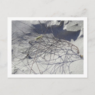 beach debris postcard