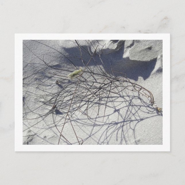 beach debris postcard (Front)