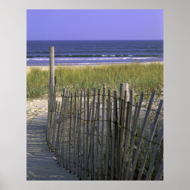 Beach Dunes Poster (Front)