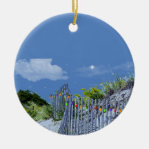 Beach Fence & Dunes
