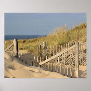 Beach fence in the dunes poster