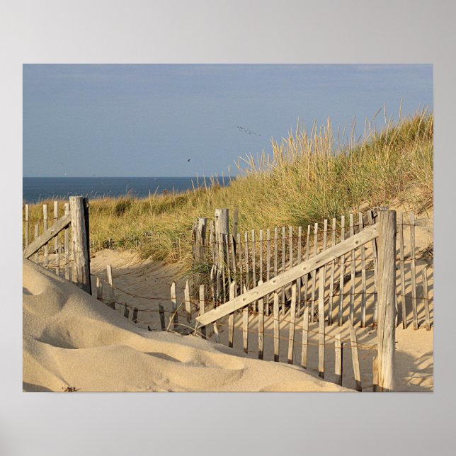 Beach fence in the dunes poster (Front)