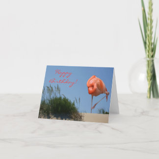 Beach Flamingo Happy Birthday Card
