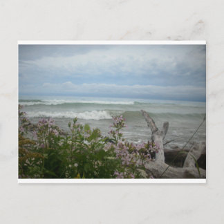 Beach Flowers Postcard