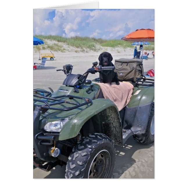 Beach Fun (Front)
