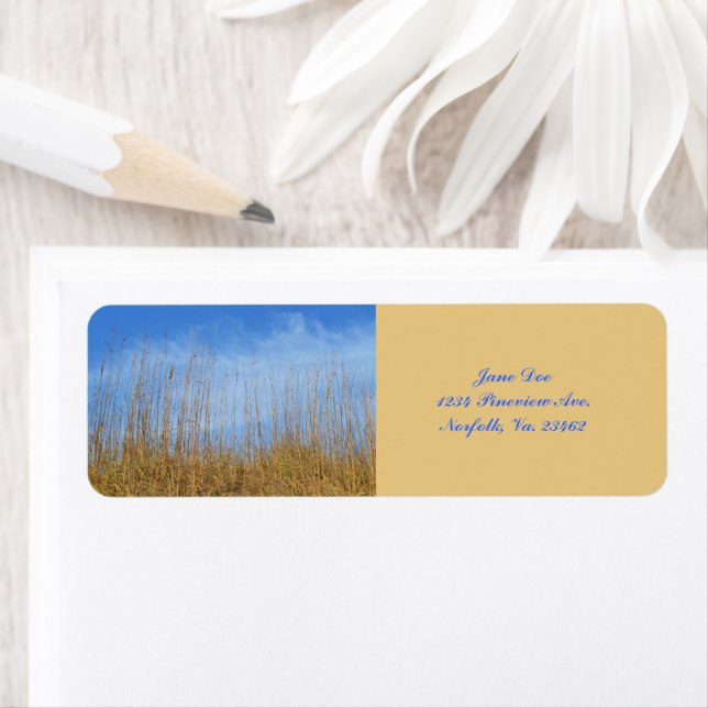 Beach Grass by Shirley Taylor (Insitu)