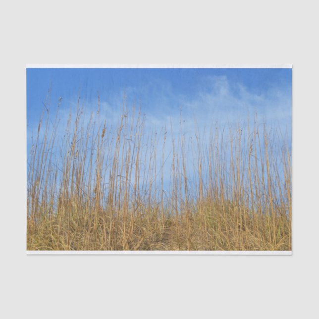 Beach Grass by Shirley Taylor Tissue Paper (Front)