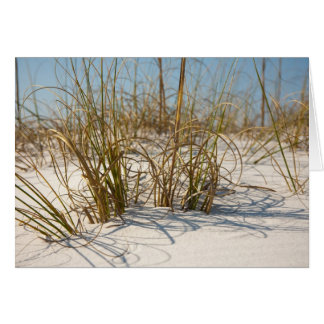 Beach Grass Card