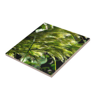 Beach Grass in the Breeze Tile