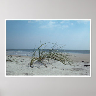 Beach Grass Print
