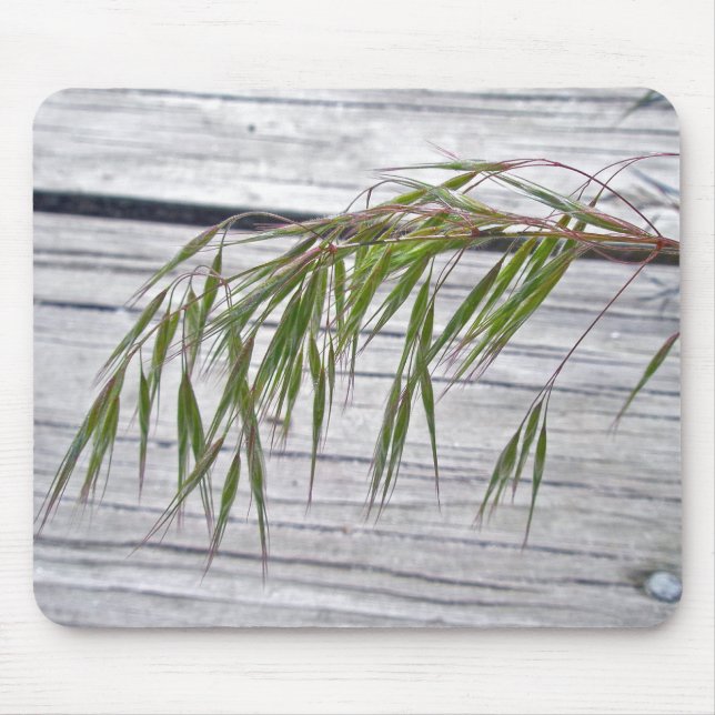 Beach Grass Seeds at IBSP Mousepad (Front)