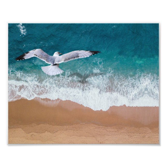 Beach Gull Photo Print (Front)