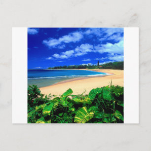 Beach Haena Kauai Hawaii Postcard
