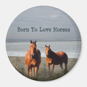 Beach Horses Magnet