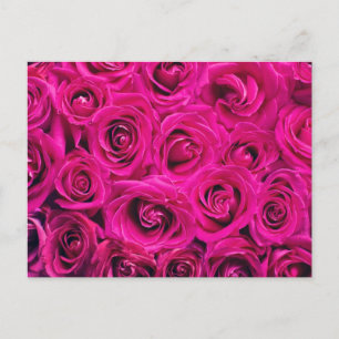 Beach Hot Pink Roses Bridal Shower Invitation Postcard