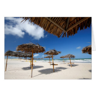 Beach Huts Brazil