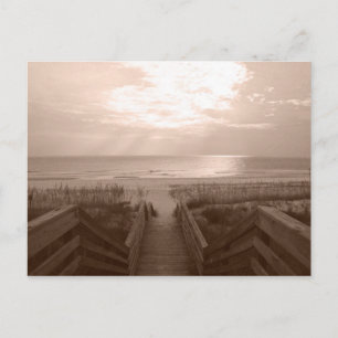 Beach in Florida Postcard