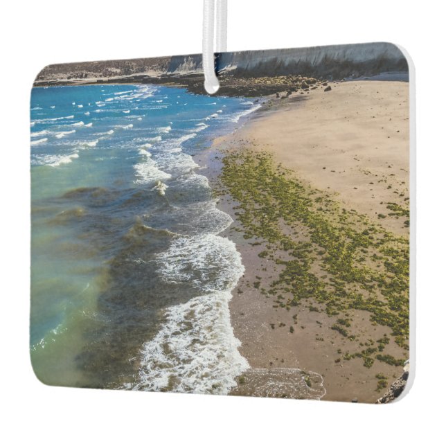 Beach in Puerto Piramides, Argentina Air Freshener (Left)