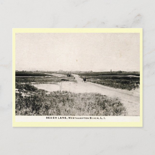 Beach Lane, Westhampton, New York Vintage Postcard (Front)