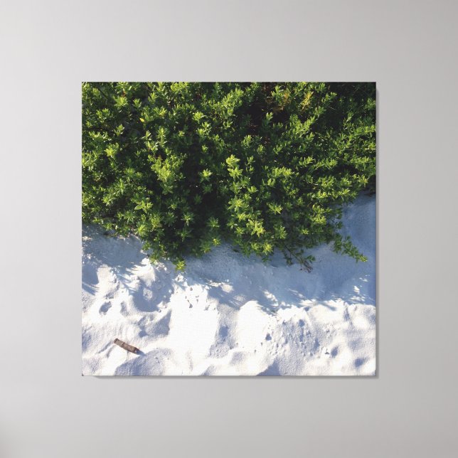 Beach Life Canvas Print (Front)