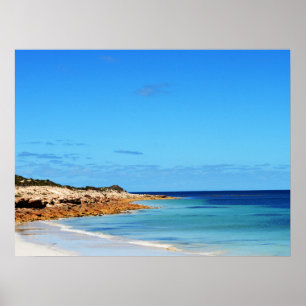 Beach Life Is Fun Life, Poster