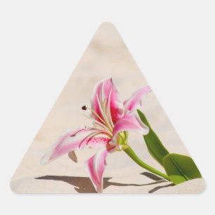 Beach Lily Sticker