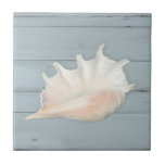 Beach Nautic Seashell Conch Tropical Blue Wood Tile<br><div class="desc">Weathered,  sun bleached,  dusty slate blue painted distressed wood board background sets off an elegantly painted Conch seashell. All art was painted in oil pastels by internationally licensed artist and designer,  Audrey Jeanne Roberts,  copyright.</div>