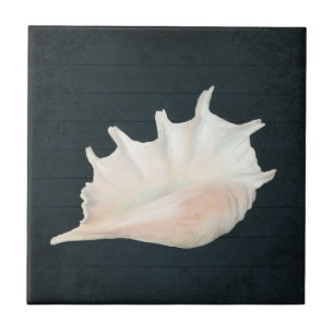 Beach Nautic Seashell Conch Tropical Navy Wood Tile
