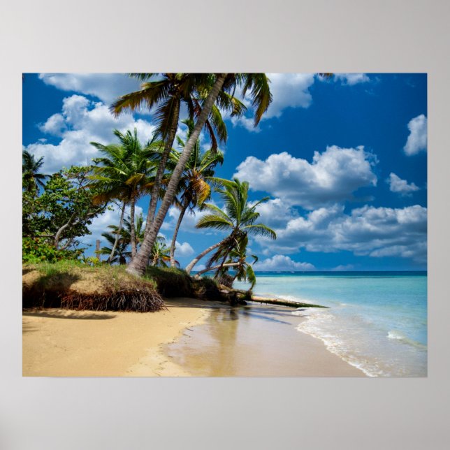 Beach Ocean Photo 168 Poster (Front)