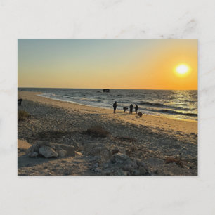 Beach Ocean Sunset Postcard