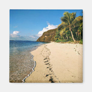 Beach of an island in Fiji Magnet