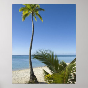 Beach on mainland Aitutaki, Cook Islands Poster